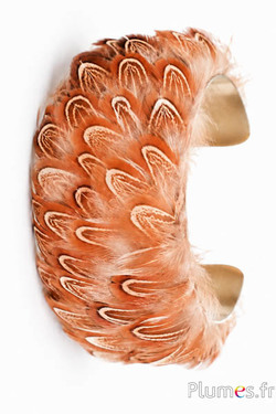 Fagiano di Colchide - sbiancata - 6-10 cm - crema-marrone